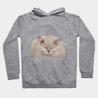 Shaggy Cat Hoodie